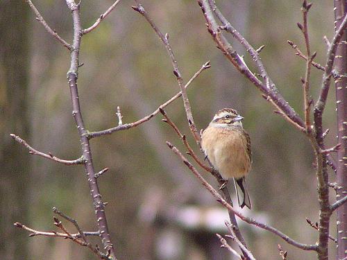 �z�I�W����