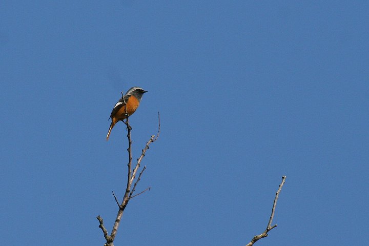 �W���E�r�^�L�́�