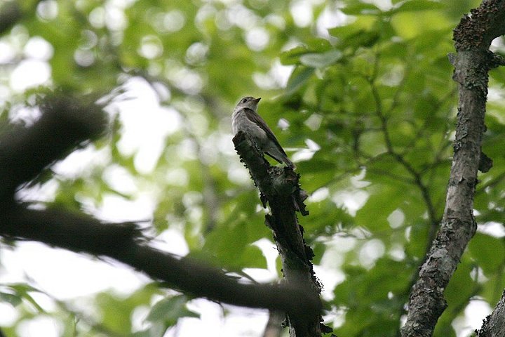 �R�T���r�^�L