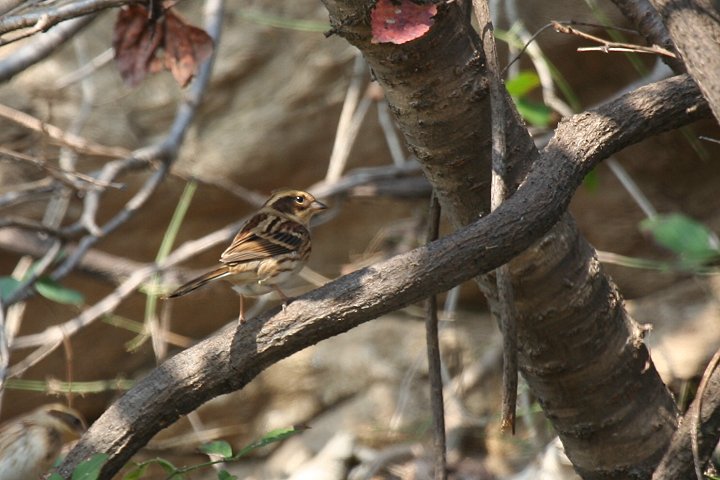 �~���}�z�I�W���́�