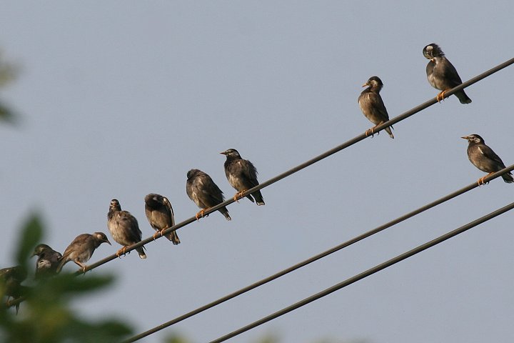 ���N�h��