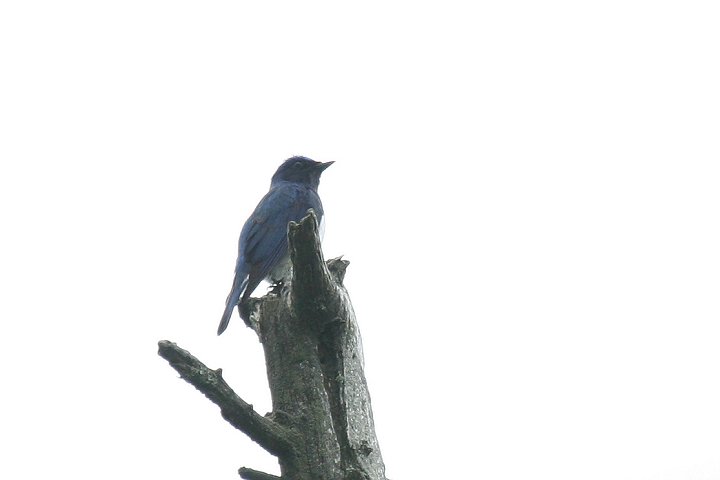 �I�I����