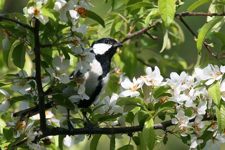 �V�W���E�J��