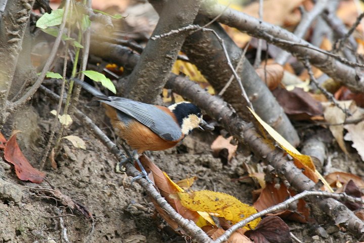 ���}�K��