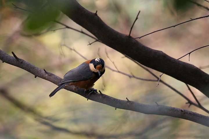 ���}�K��