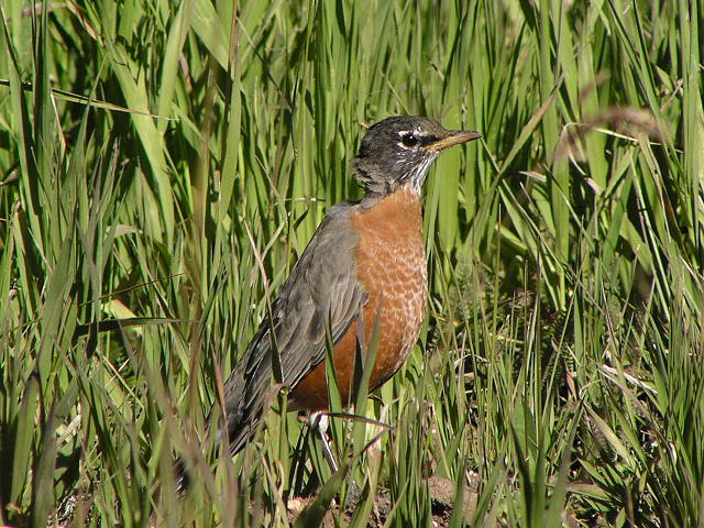 �R�}�c�O�~