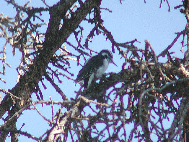 �Z�W���R�Q��