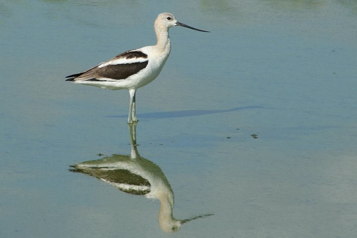 �A�����J�\���n�V�Z�C�^�J�V�M