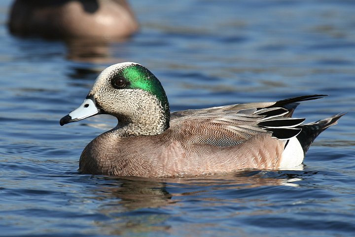 �A�����J�q�h��