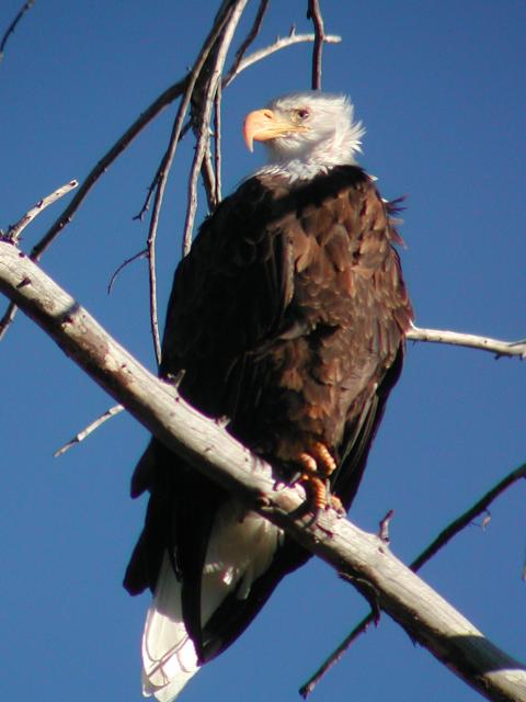 �n�N�g�E���V