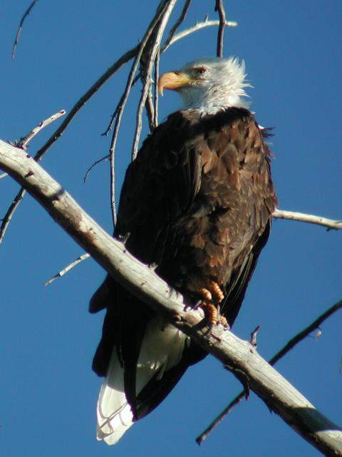 �n�N�g�E���V