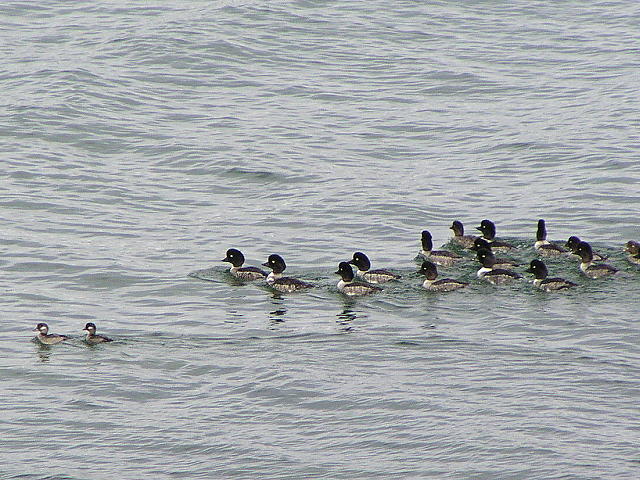 �L�^�z�I�W���K��