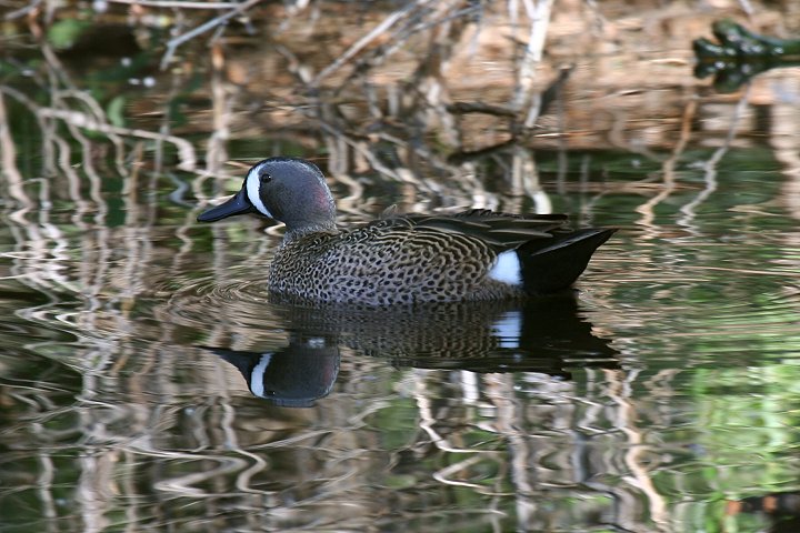 �~�J�d�L�V�}�A�W