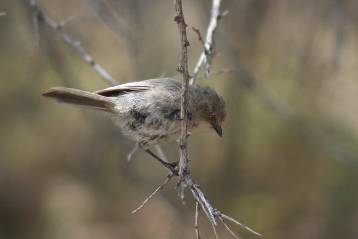 ���u�K���́�