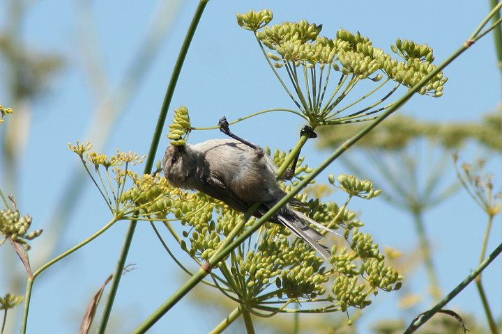 ���u�K���́�