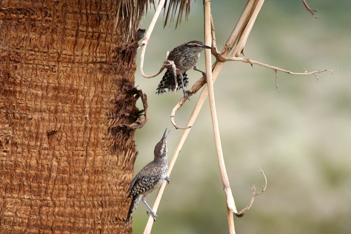 �T�{�e���~�\�T�U�C