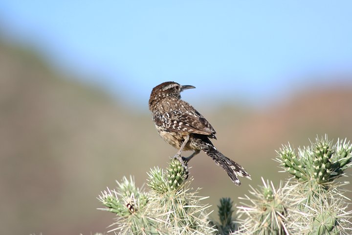 �T�{�e���~�\�T�U�C