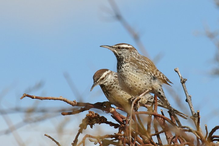 �T�{�e���~�\�T�U�C