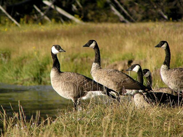 �J�i�_�K��