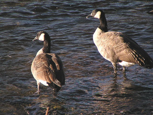 �J�i�_�K��