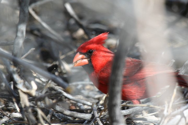 �V���E�W���E�R�E�J���`���E