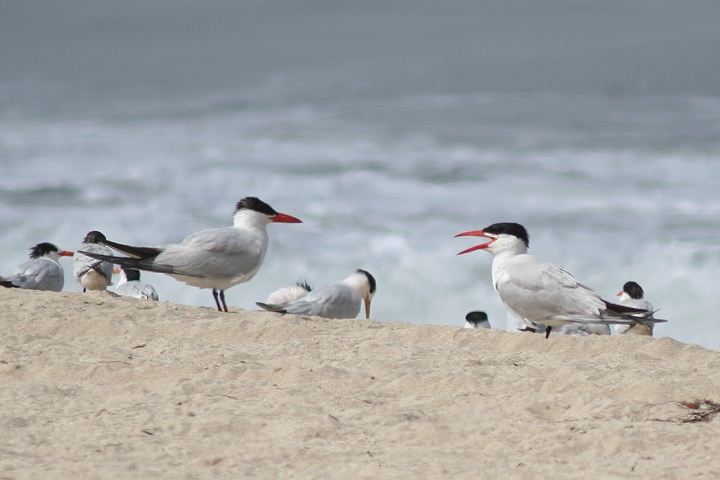 �I�j�A�W�T�V