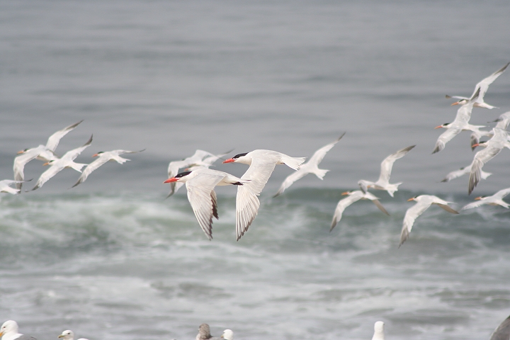 �I�j�A�W�T�V�i������H�j