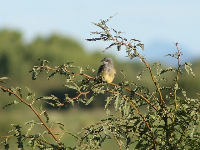 �n�V�i�K�A�J�{�V�^�C�����`���E