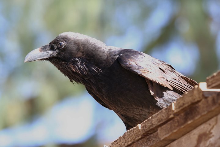 ���^���K���X