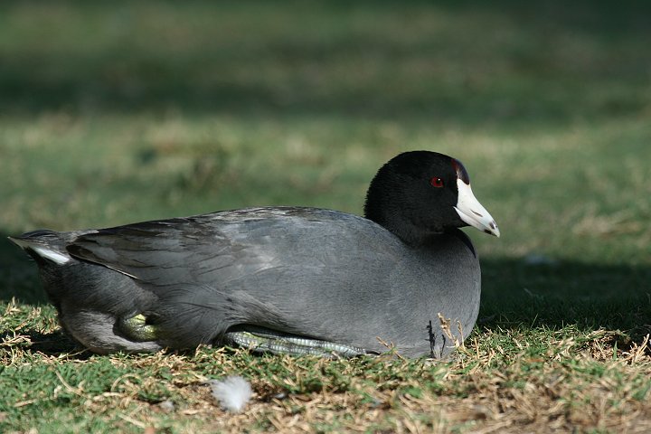 �A�����J�I�I�o��