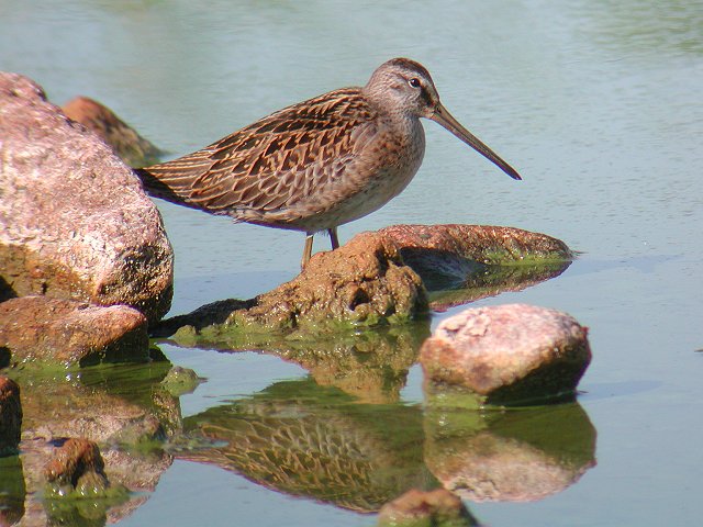 �A�����J�I�I�n�V�V�M