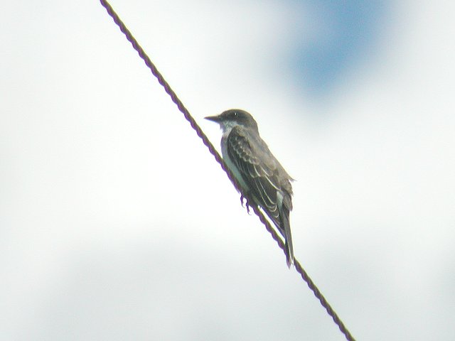 �I�E�T�}�^�C�����`���E