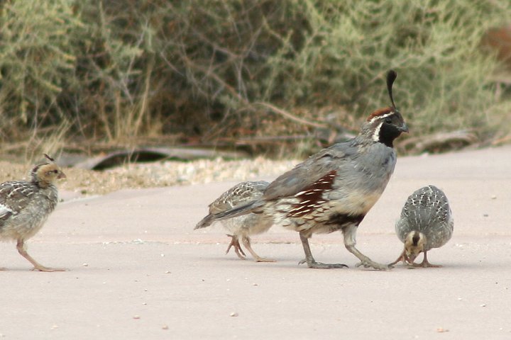 �Y�A�J�J�������E�Y��