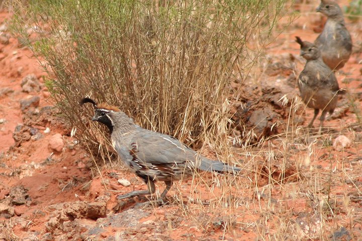 �Y�A�J�J�������E�Y��