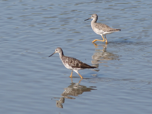 �I�I�L�A�V�V�M