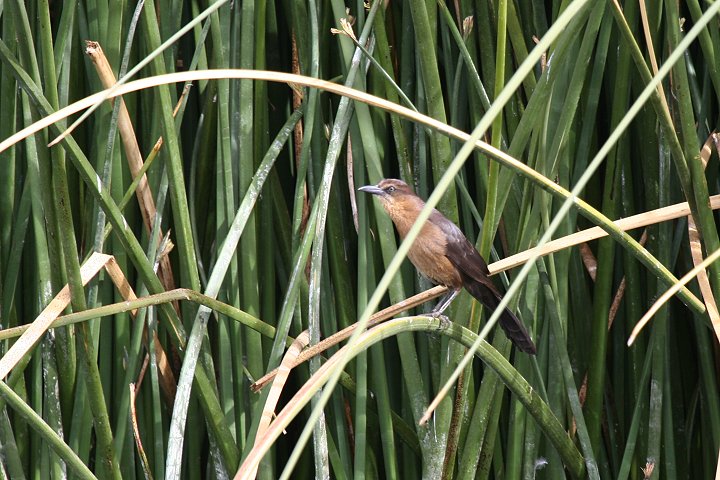 �I�i�K�N�����N�h�����h�L��