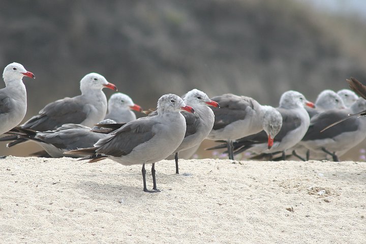 �I�O���J����