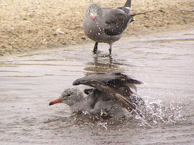 �I�O���J����