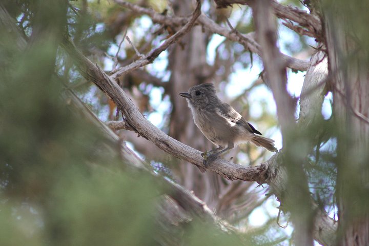 �q�K�V�n�C�G�{�V�K��