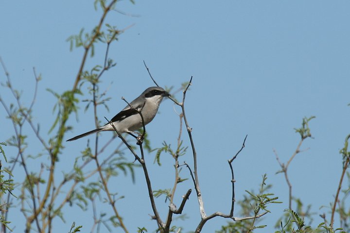 �A�����J�I�I���Y