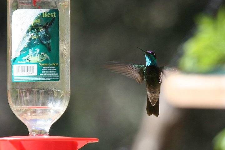 �A�I�m�h�n�`�h��