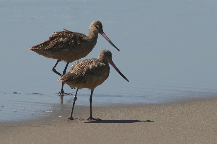 �A�����J�I�I�\���n�V�V�M