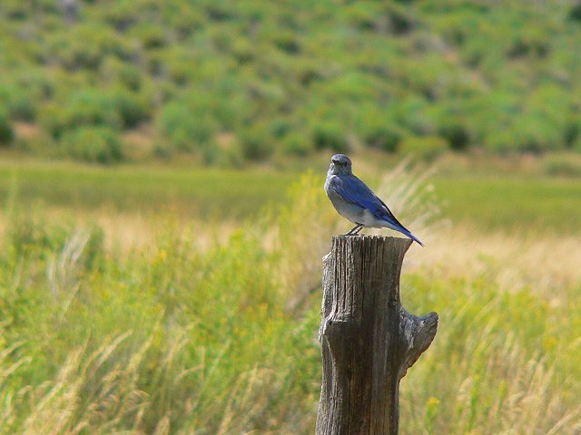 ���W�����c�O�~