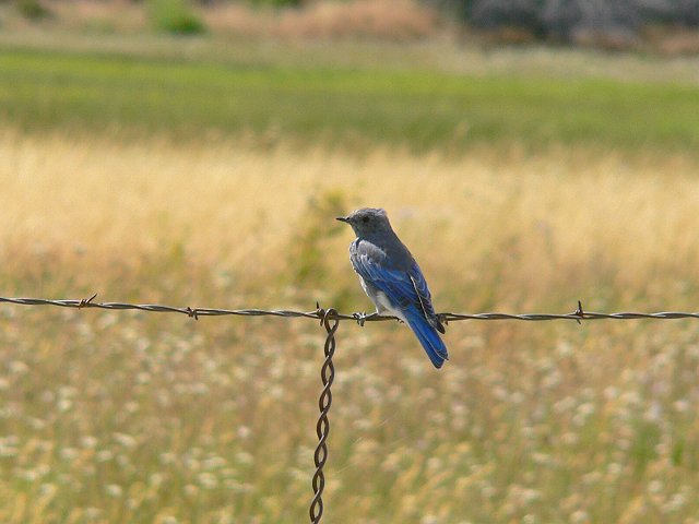 ���W�����c�O�~