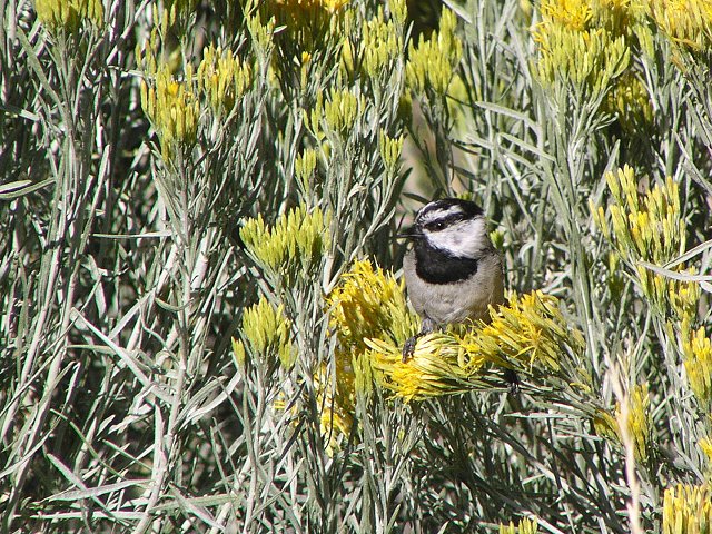 �}�~�W���R�K��