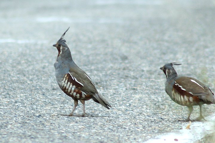 �c�m�E�Y��