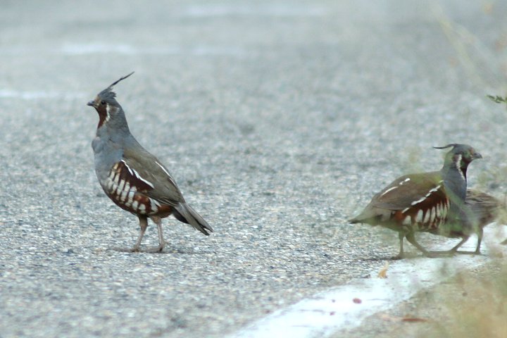 �c�m�E�Y��