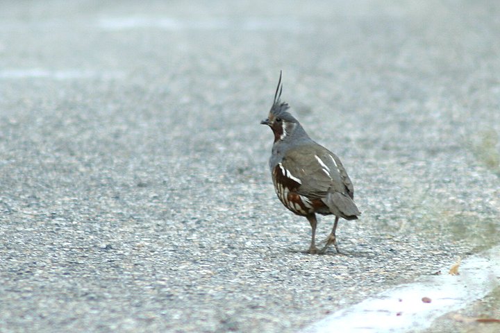 �c�m�E�Y��