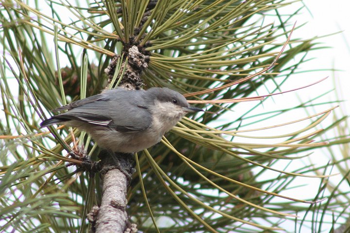 �q���S�W���E�J��