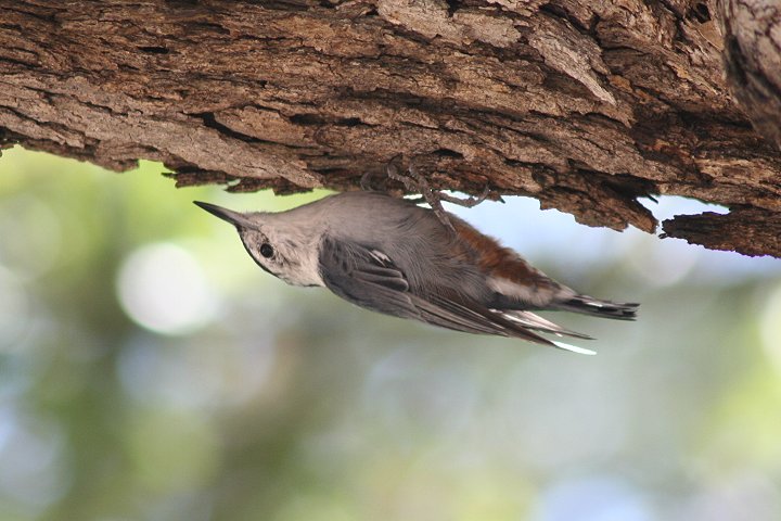 �J�I�W���S�W���E�J��